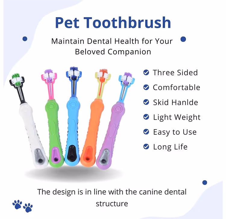 Pet Toothbrush | Maintain Dental Health for Your Beloved Companion